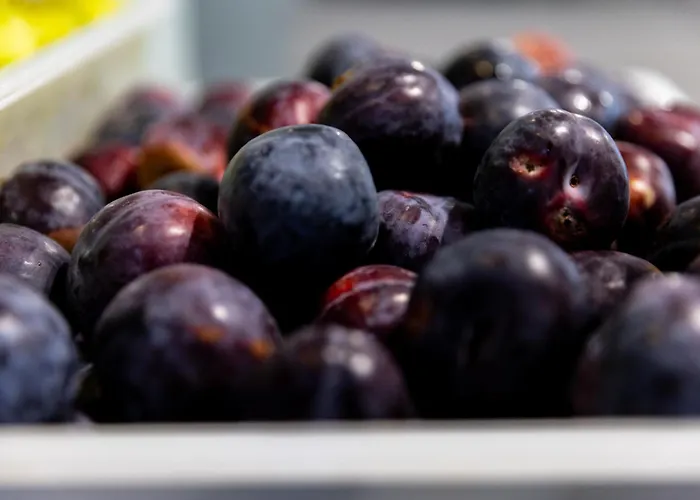 卡利纳花园mpm酒店 - 全包 4*