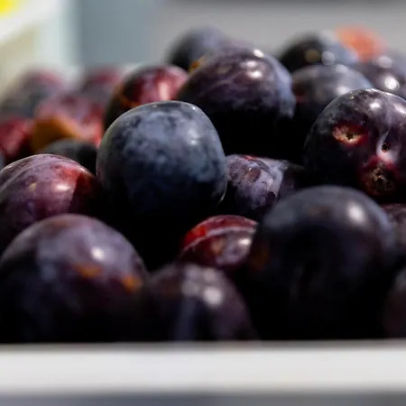 Mpm Kalina Garden - 4*