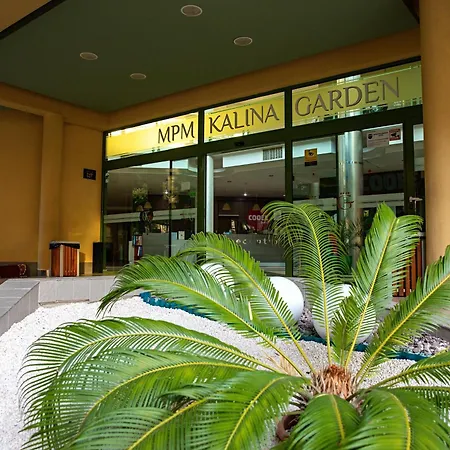 Mpm Kalina Garden Słoneczny Brzeg